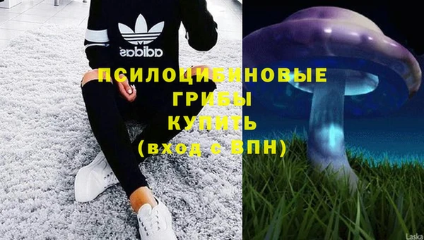 стафф Белокуриха